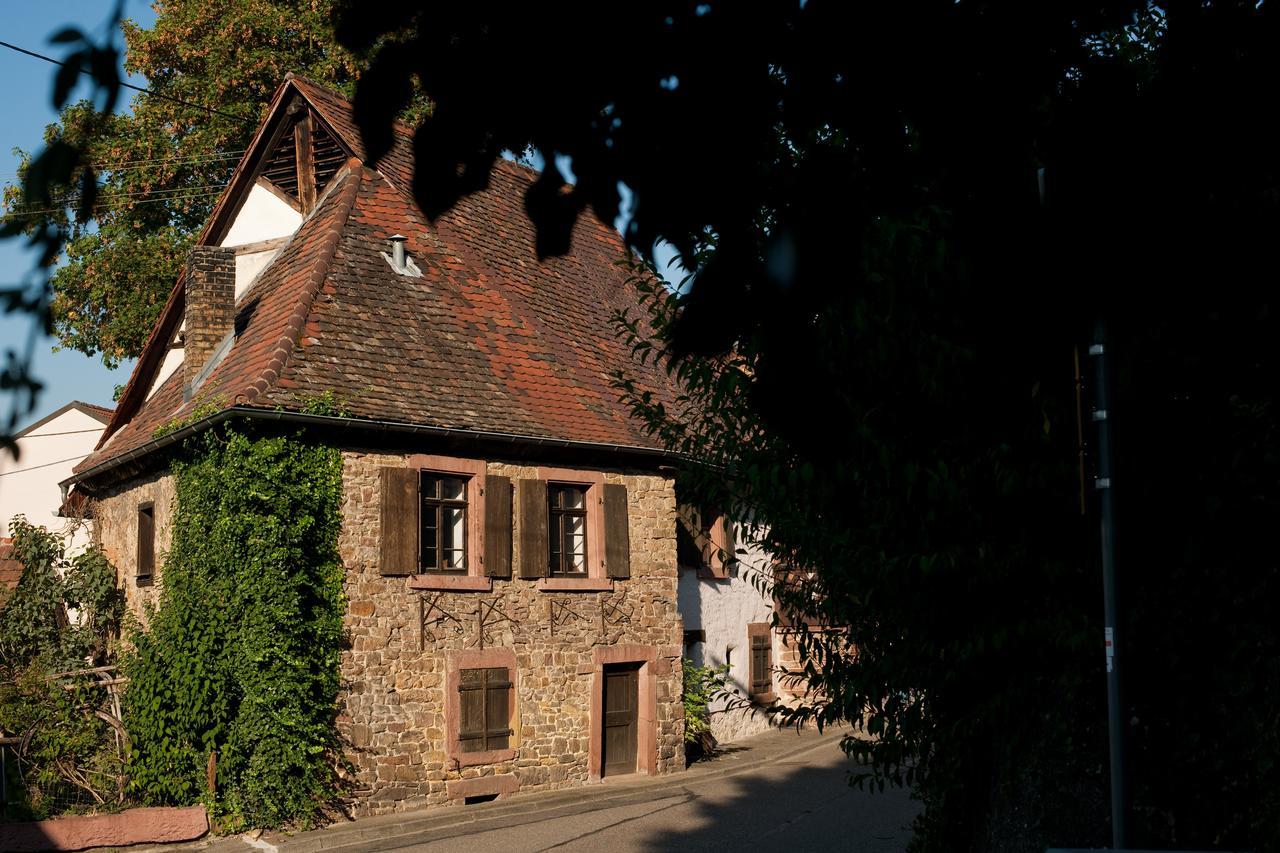 1463 Apartmenthaus Karlsruhe Eksteriør billede