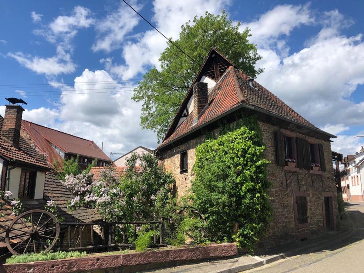 1463 Apartmenthaus Karlsruhe Eksteriør billede